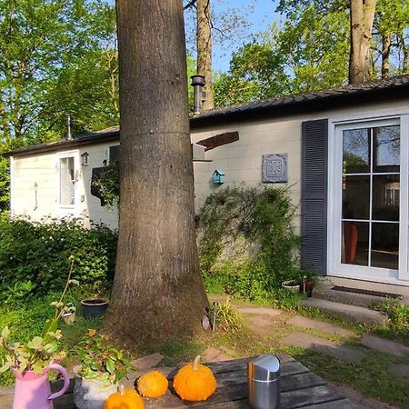 Boshuisje Wageningen Eksteriør billede